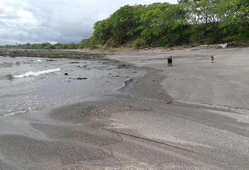 펜션 Oceanfront Gem At La Joya De Lagarto