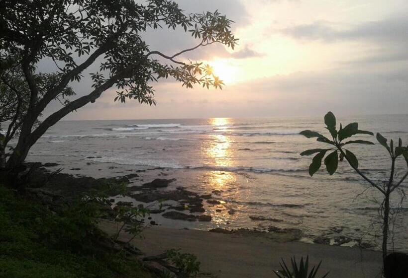 펜션 Oceanfront Gem At La Joya De Lagarto