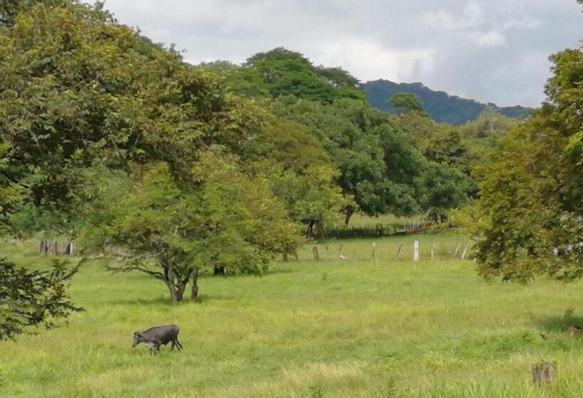 펜션 Oceanfront Gem At La Joya De Lagarto