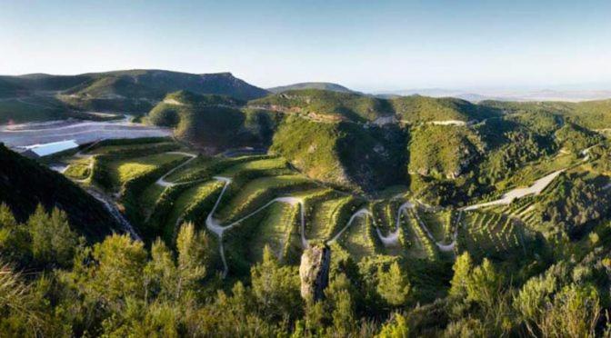 פנסיון Only Women Guest House   Villa De La Comunidad Internacional De La Mujer