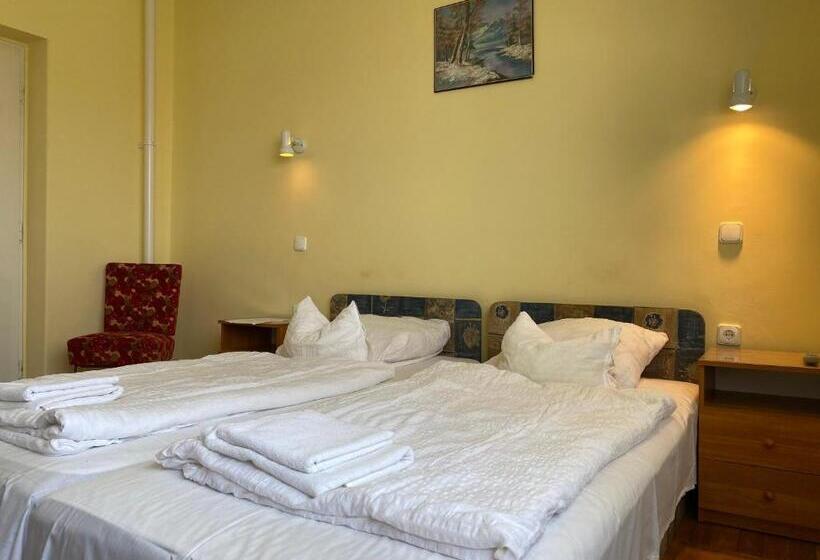 Пансион Patakparti Vendégház