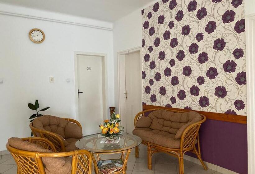 Пансион Patakparti Vendégház