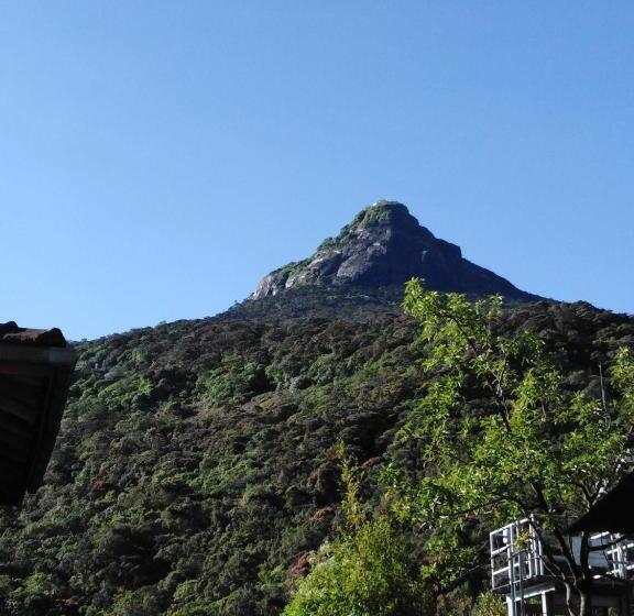 بنسيون The Peak Residence