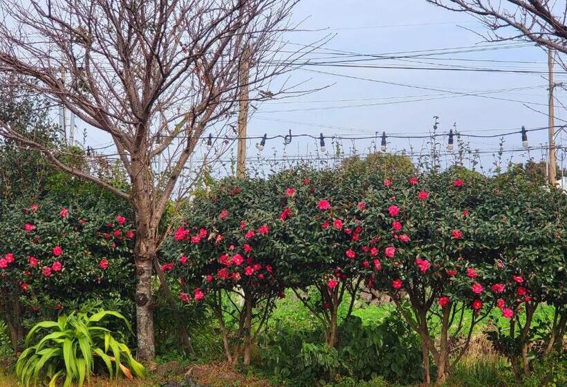 膳宿费 There Bengdi