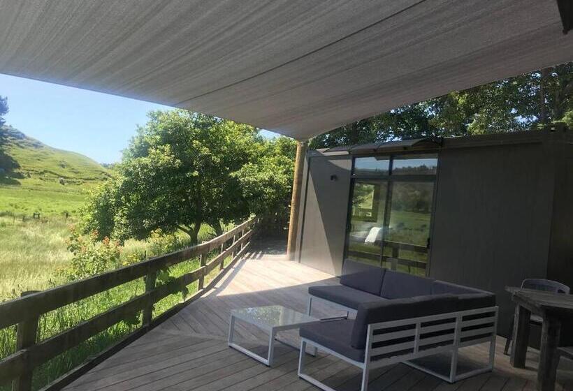 פנסיון White Pine Bush Cabins