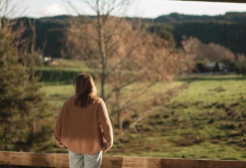 פנסיון White Pine Bush Cabins