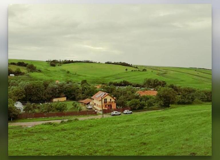 Pensiunea Casa Murani