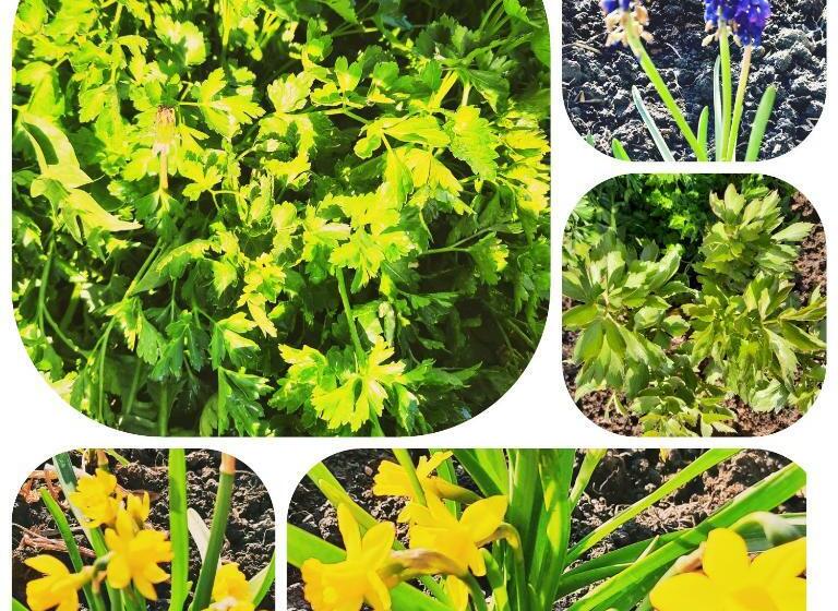 Pensiunea Casa Murani