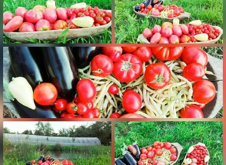 Pensiunea Casa Murani