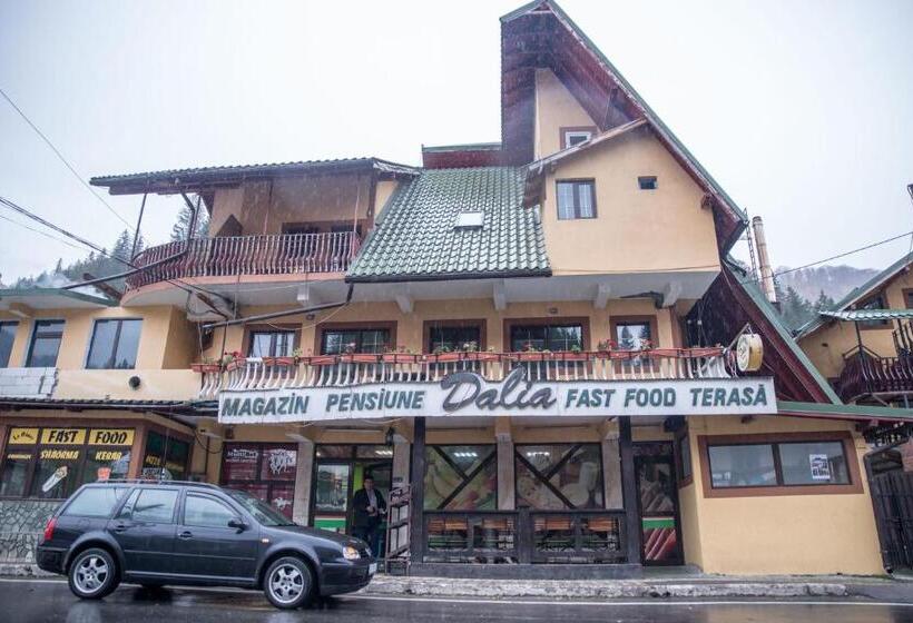 Pensiunea Dalia Voineasa