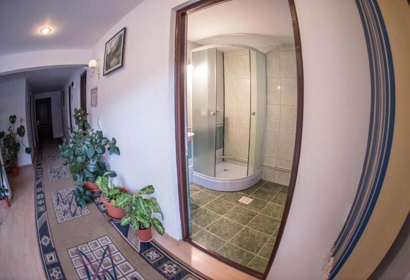 Pensiunea Dalia Voineasa