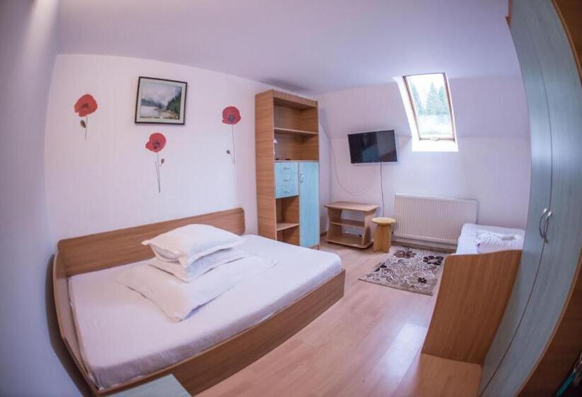 Pensiunea Dalia Voineasa