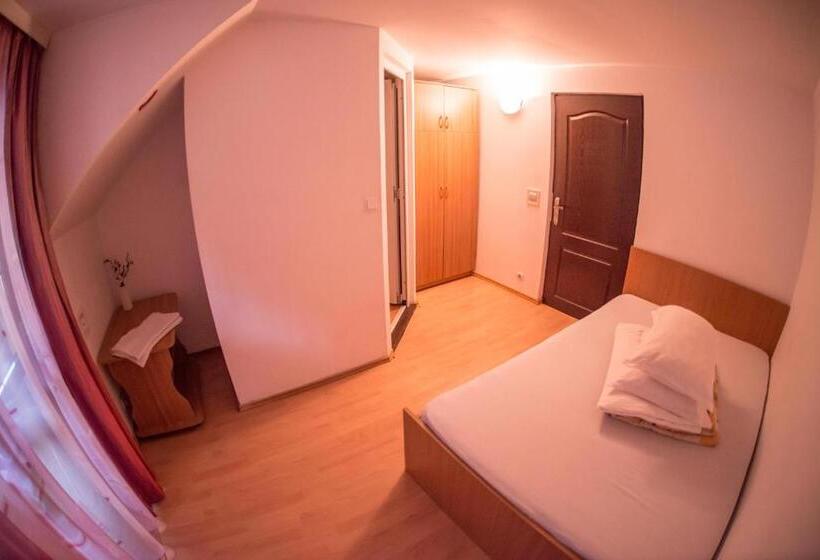 Pensiunea Dalia Voineasa