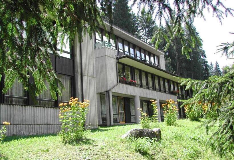 Res. Amba Appartamenti Solandra