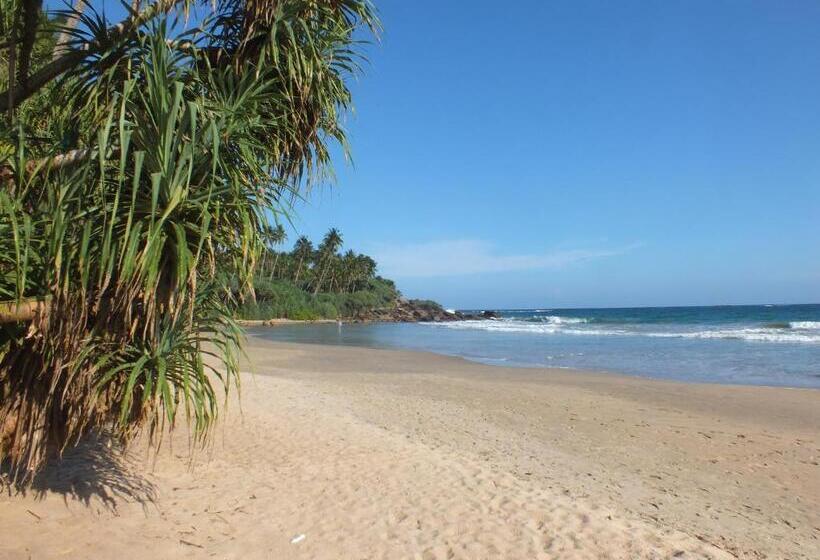 אתר נופש Abraham Beach House