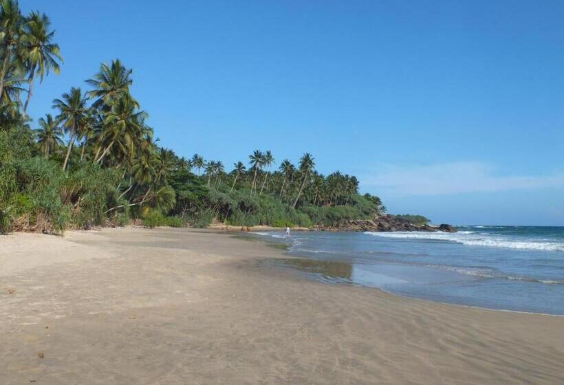 אתר נופש Abraham Beach House