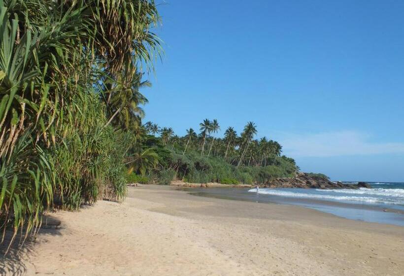 אתר נופש Abraham Beach House