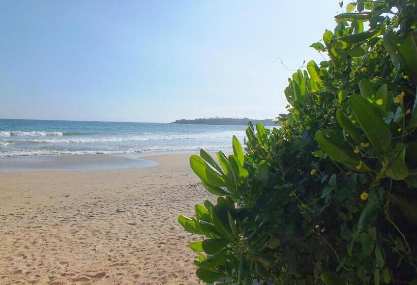 אתר נופש Abraham Beach House