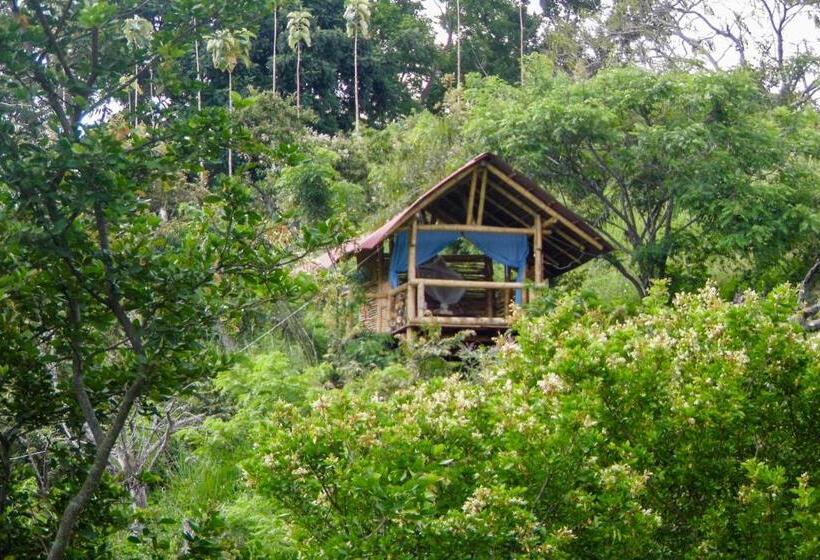 منتجع El Cielo Biohospedaje