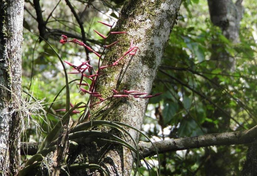אתר נופש El Cielo Biohospedaje