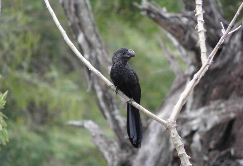 אתר נופש El Cielo Biohospedaje