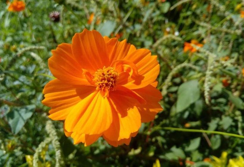 אתר נופש El Cielo Biohospedaje