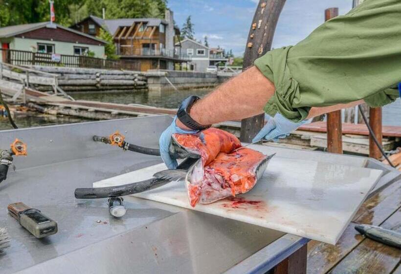 Курорт Woods End Landing