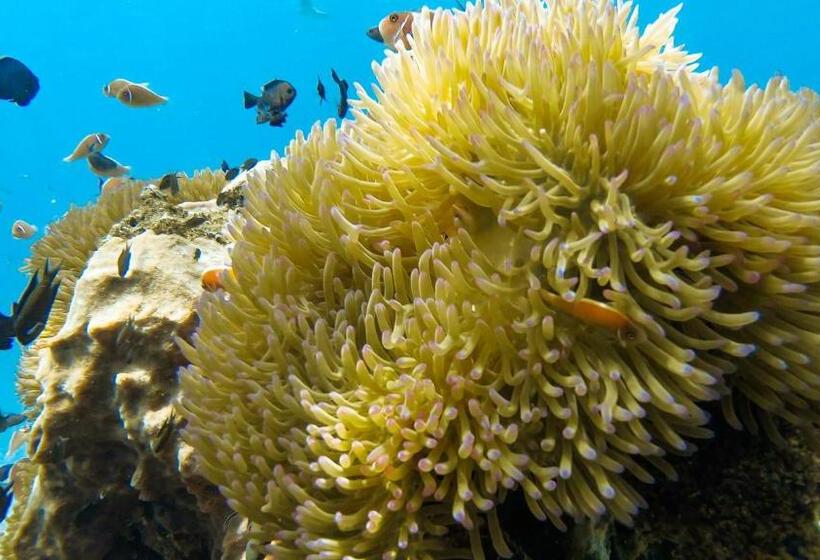 Resort Sea View Koh Chang