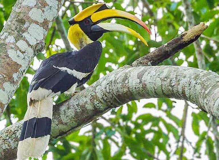 Resort Sea View Koh Chang