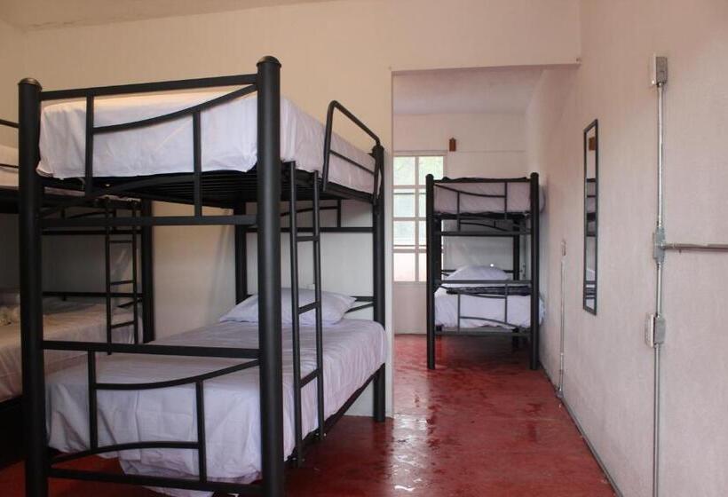 Sukha Hostel Xilitla