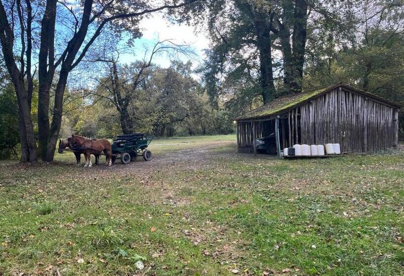 Sziget Hotel Veránka