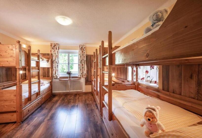 Общежитие Berghütte Burgweghof Jugendgästehaus