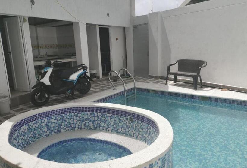 هاستل Bull Shark