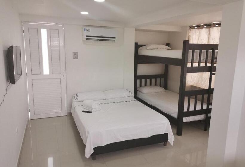 هاستل Bull Shark