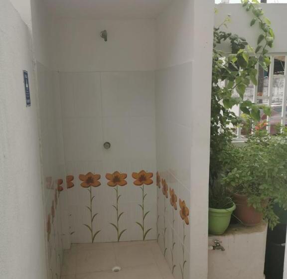 הוסטל Bull Shark