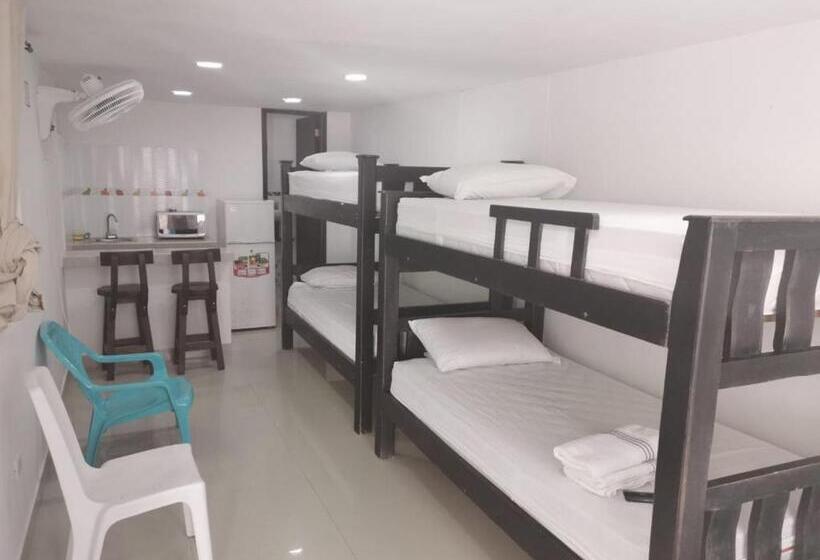 הוסטל Bull Shark