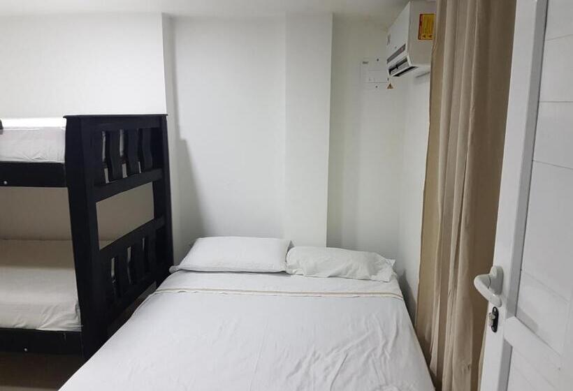 הוסטל Bull Shark