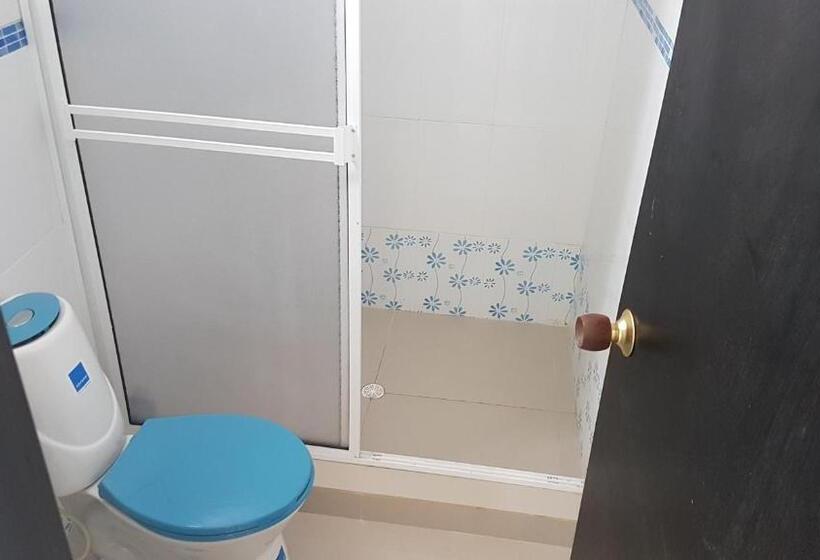 הוסטל Bull Shark