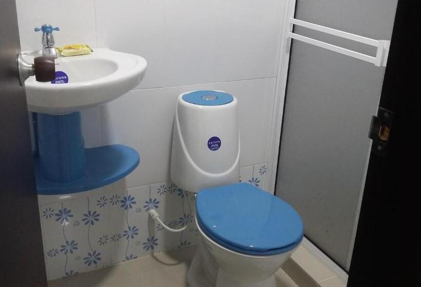 הוסטל Bull Shark