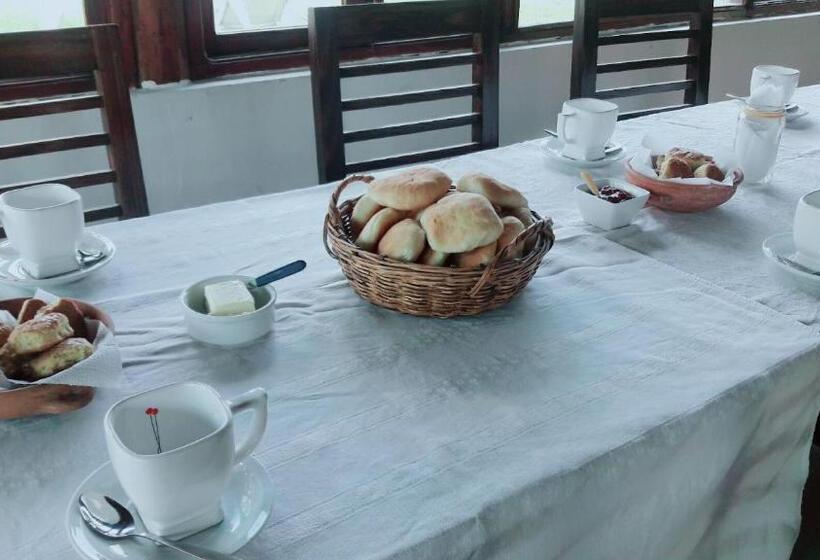 旅馆 La Casa De Reyes Posada