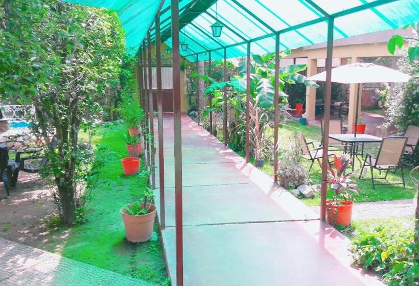 旅馆 La Casa De Reyes Posada