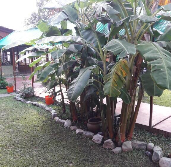 旅馆 La Casa De Reyes Posada