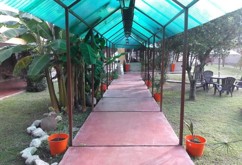 旅馆 La Casa De Reyes Posada