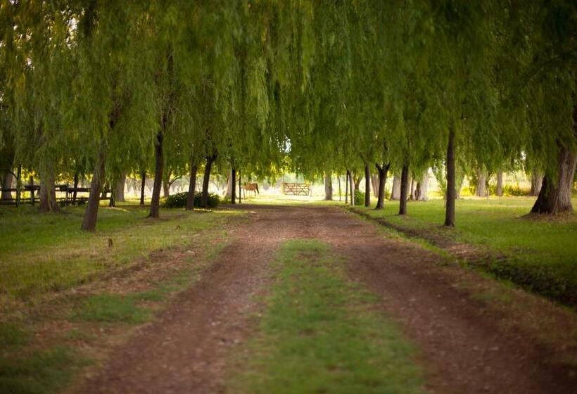 فندق صغير La Matera Posada De Campo