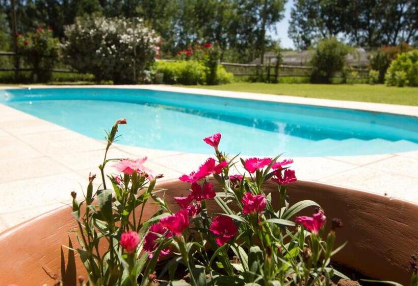 فندق صغير La Matera Posada De Campo