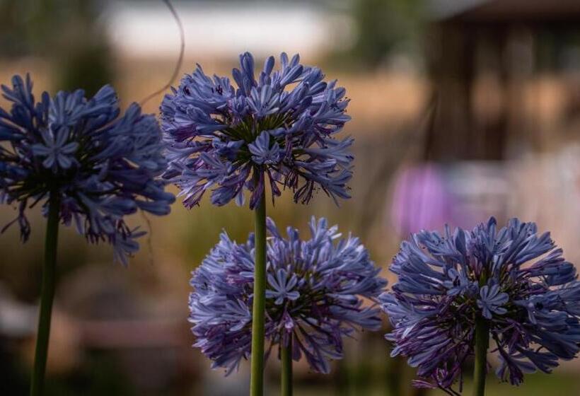 فندق صغير Pampas Del Sur Hotel Y Spa De Campo