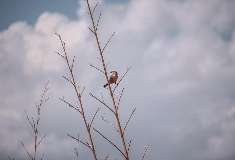 فندق صغير Pampas Del Sur Hotel Y Spa De Campo