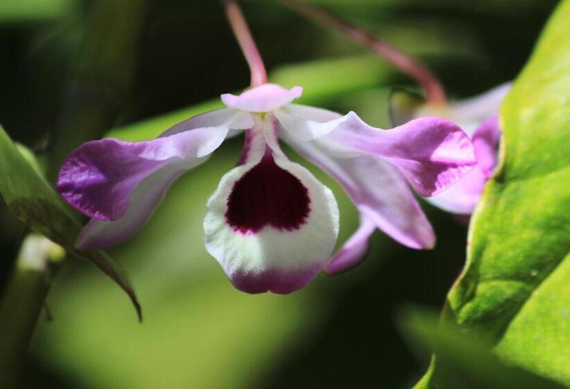 Общежитие Pousada Naturalmente