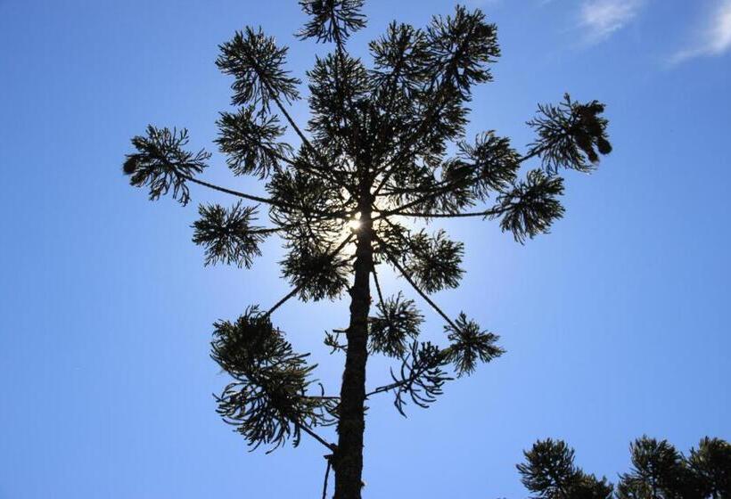 Общежитие Pousada Naturalmente