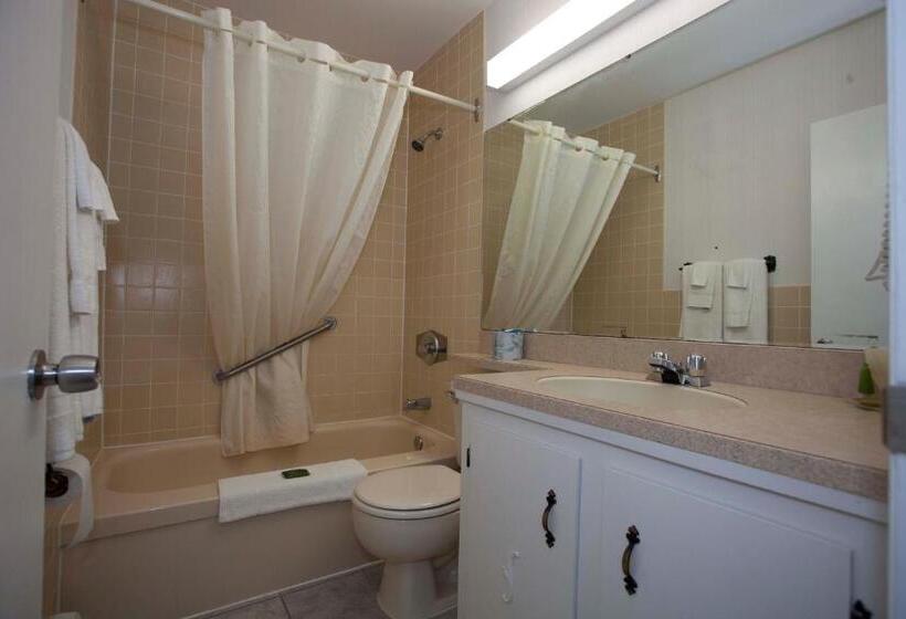 فندق صغير Rodeway Inn